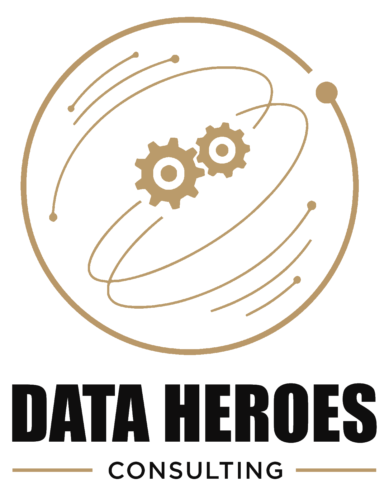 Data Heroes logo